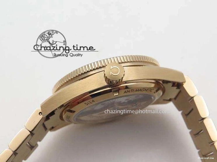 0713 Seamaster 300 Master Co-Axial Liquidmetal V6F Best Edition RG On RG Bracelet A8400 (Free Nylon Strap) Resilient 8265